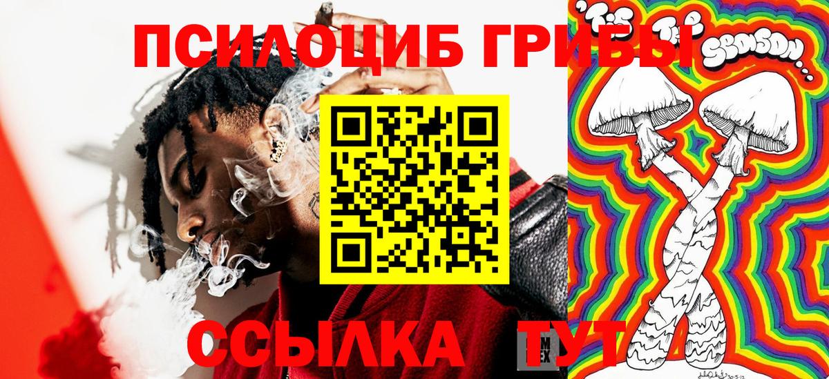 Менделеевск  Галлюциногенные грибы мухоморы  Вход с VPN 