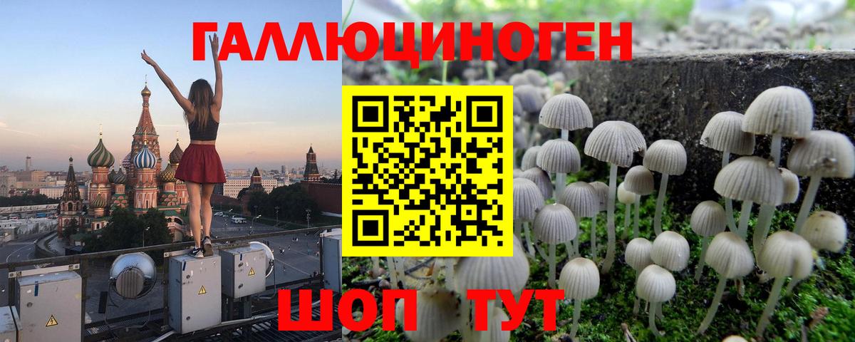 Галлюциногенные грибы мицелий Менделеевск
